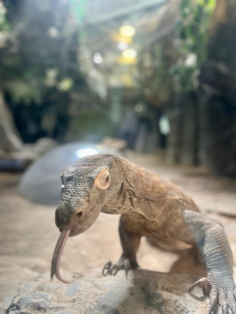 PHOTO 2023 10 14 17 10 38 5