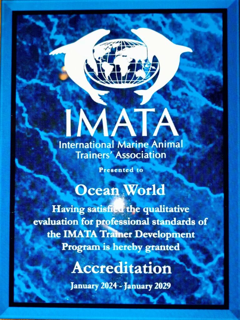 ImataPlaque