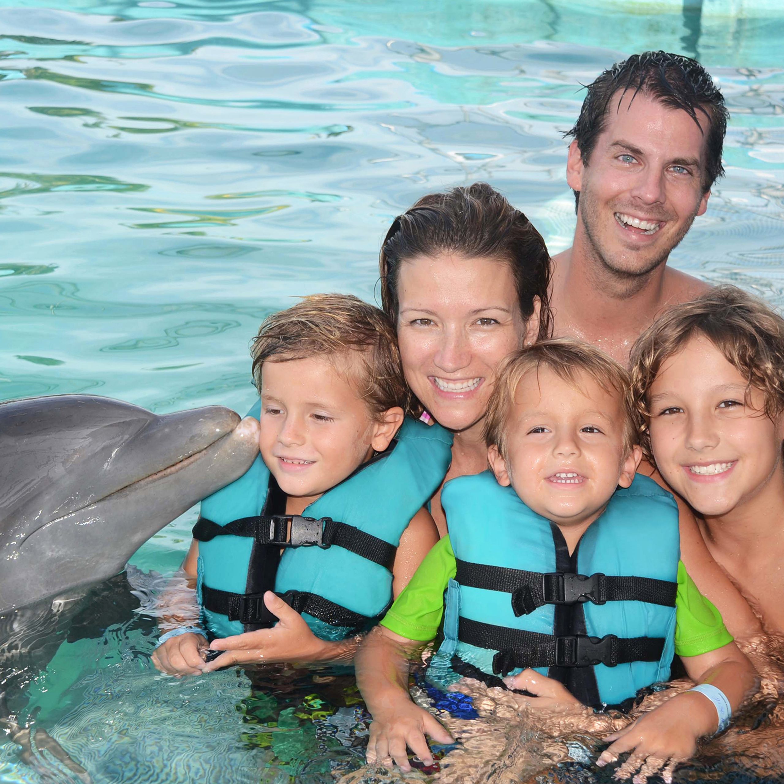 Dolphin Encounter