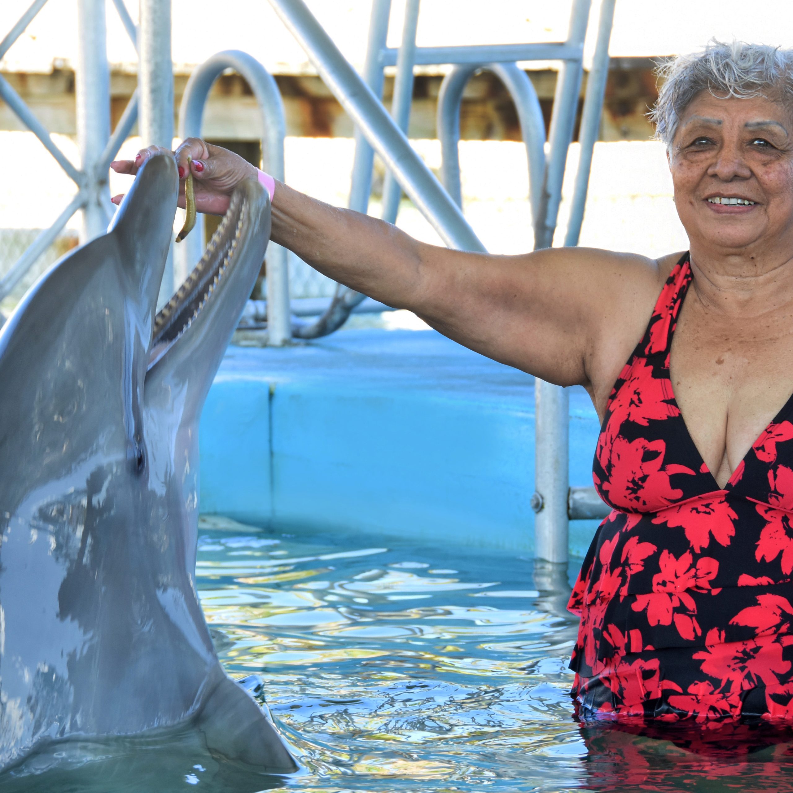 Dolphin Encounter