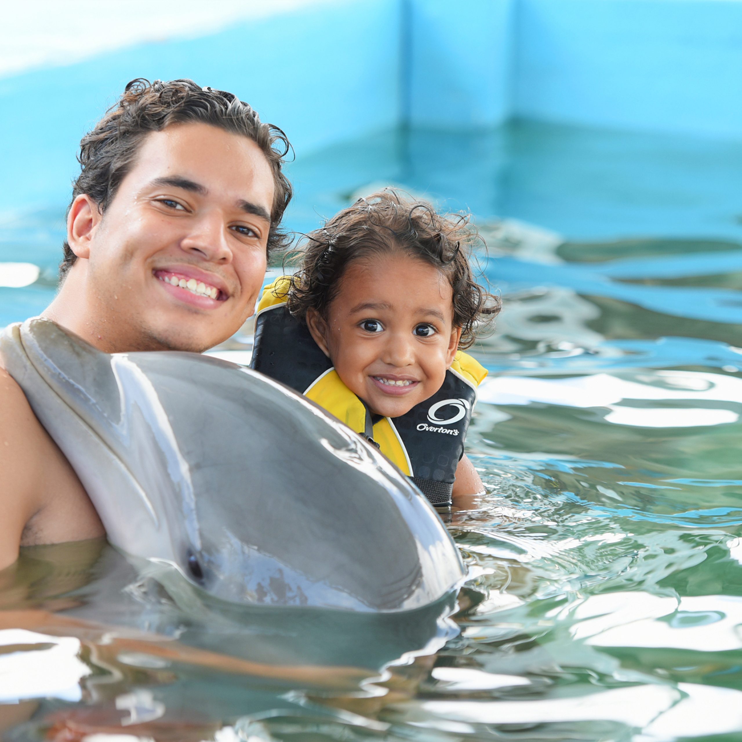 Dolphin Encounter