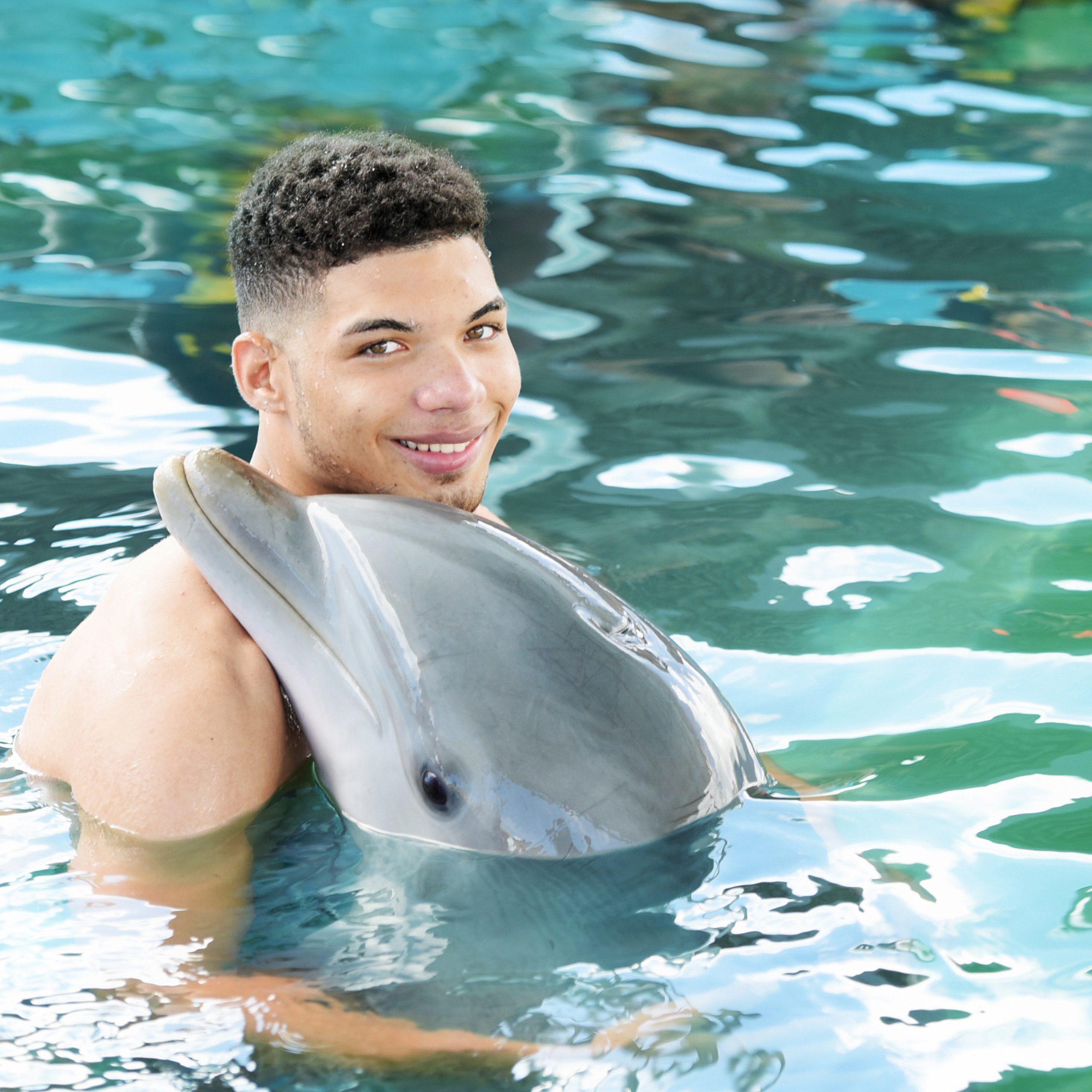 Dolphin Encounter