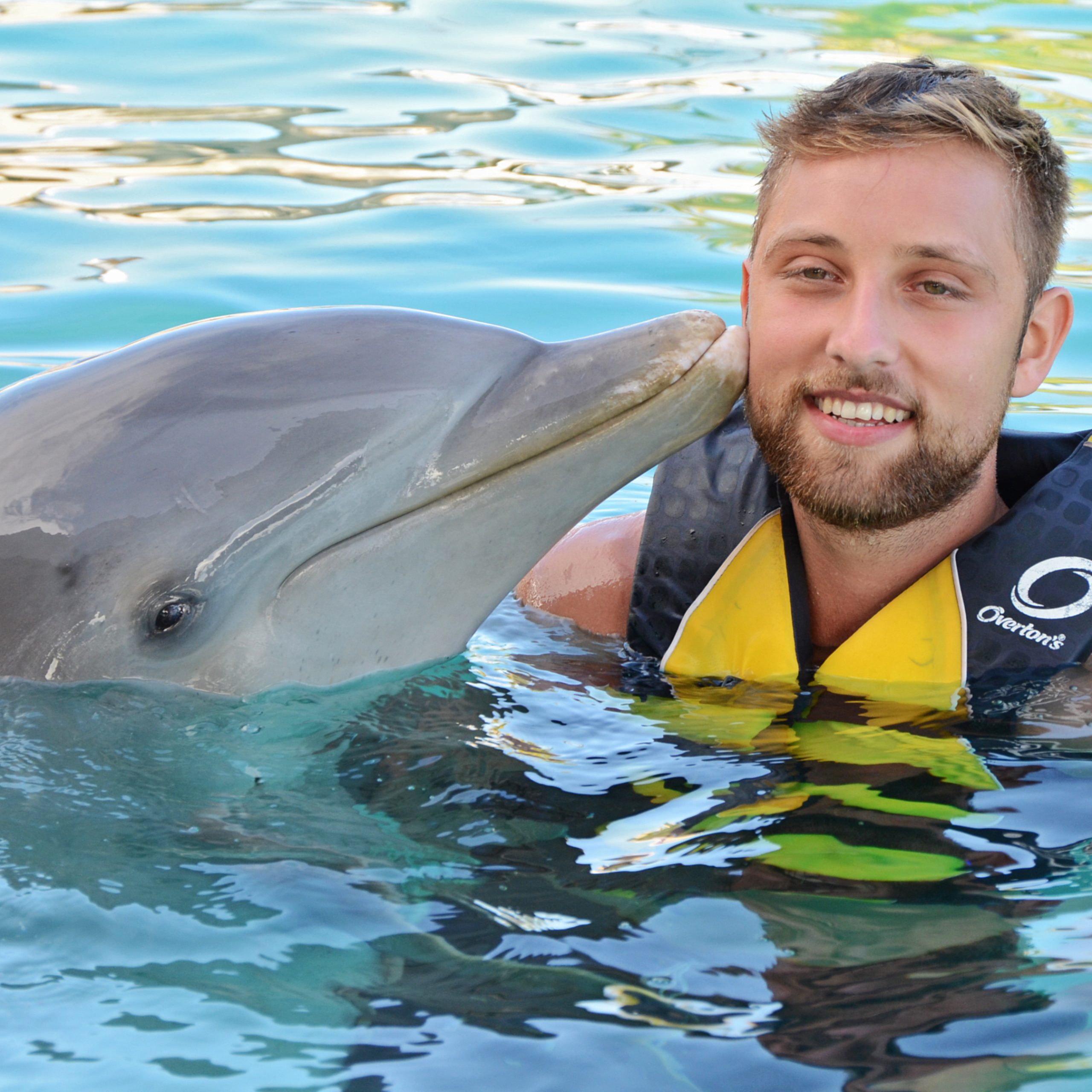 Dolphin Swim