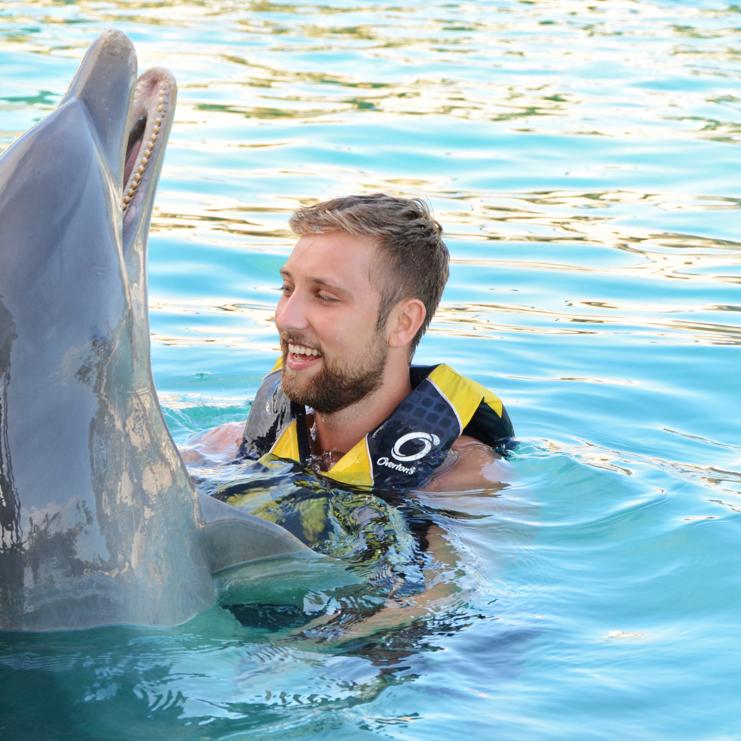 Dolphin Swim