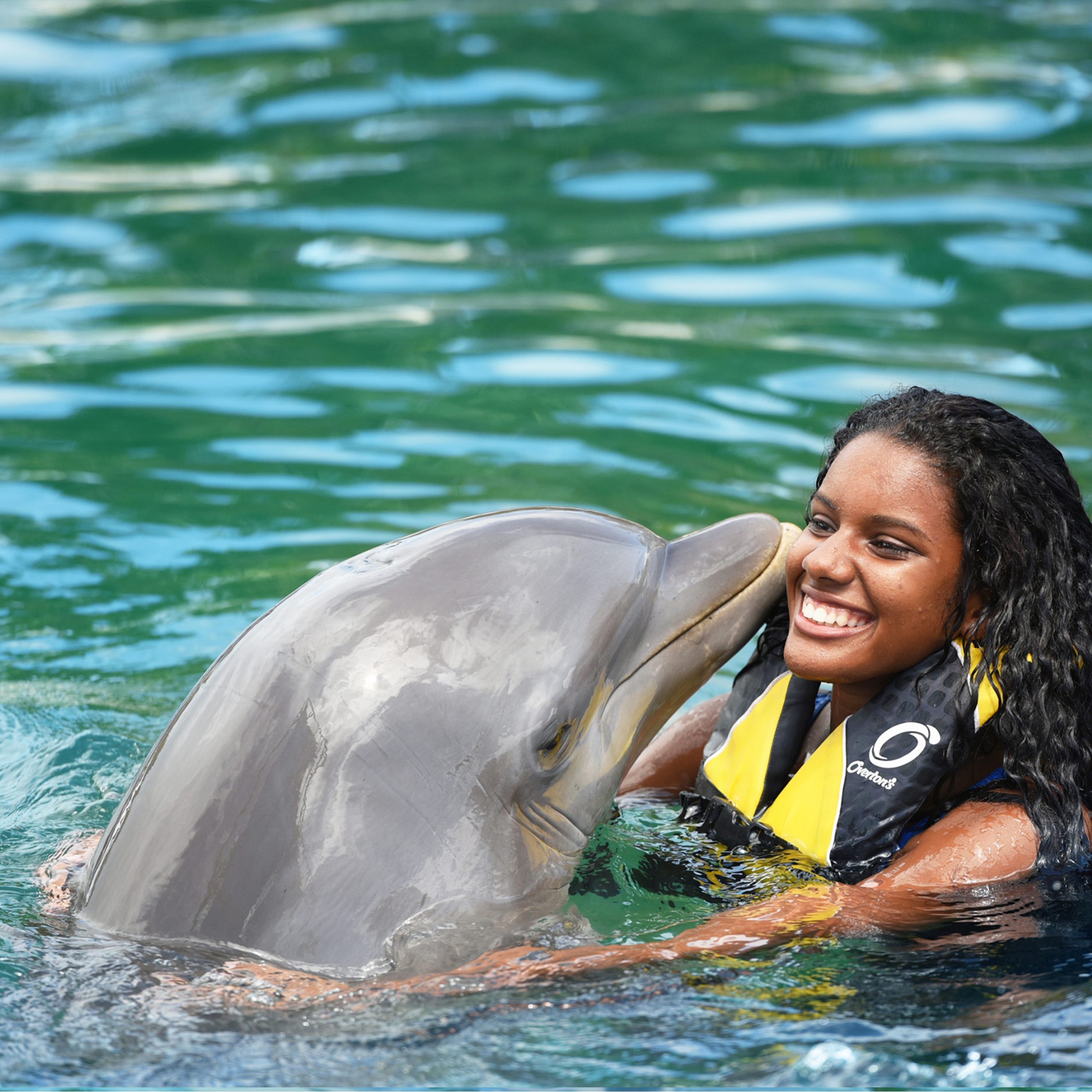 Dolphin Swim