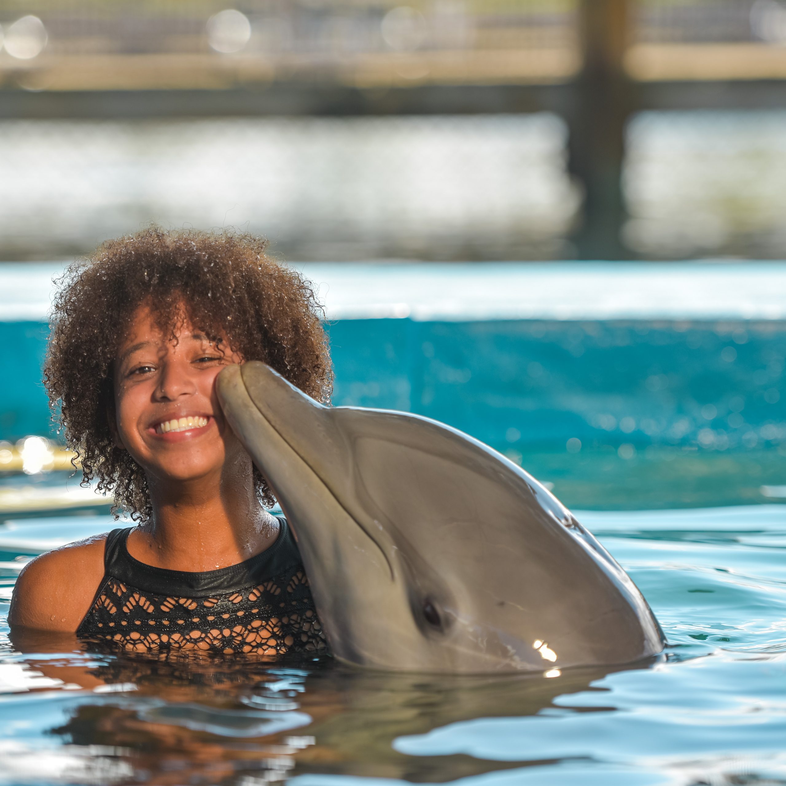 Dolphin Encounter