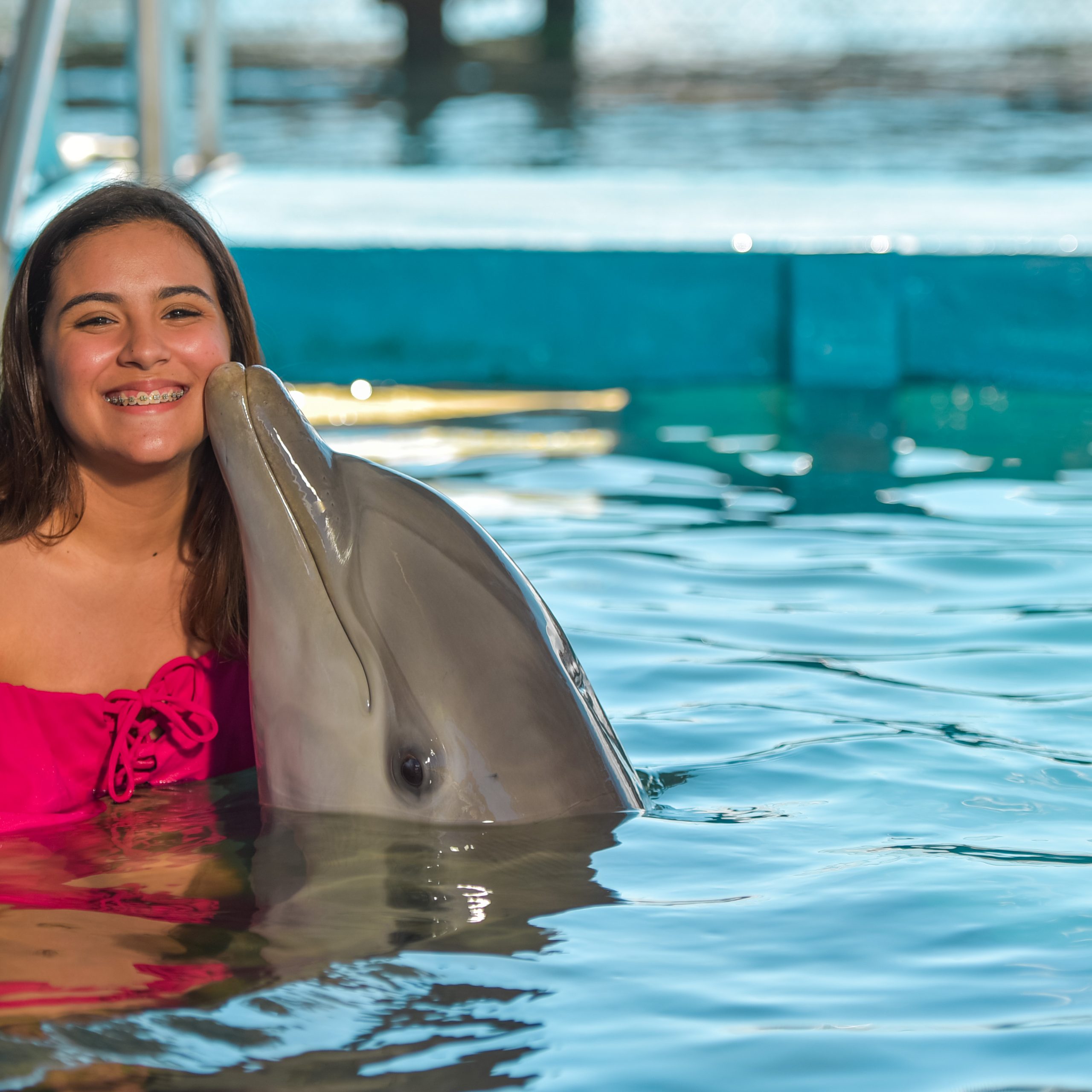Dolphin Encounter
