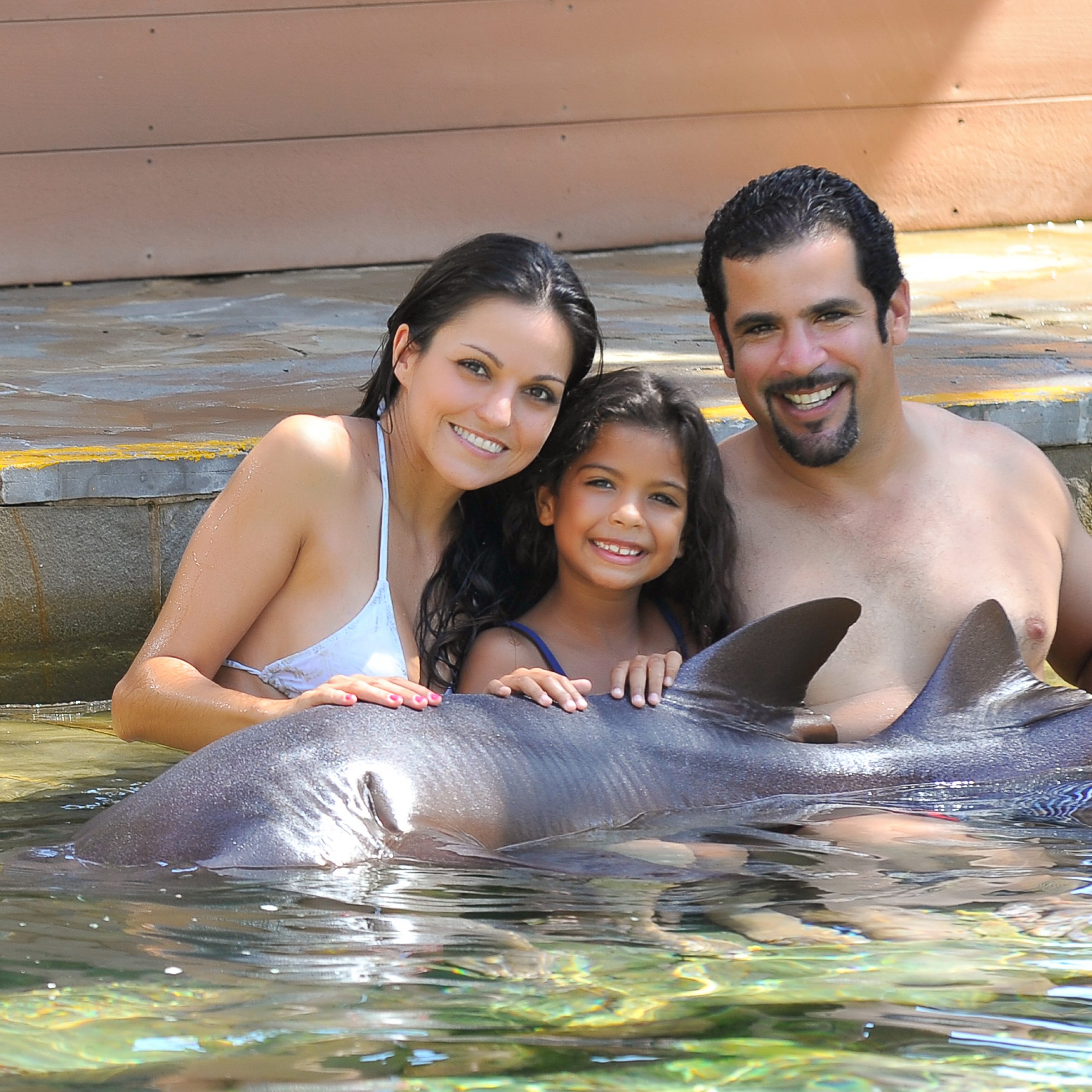 Shark Encounter & Snorkeling