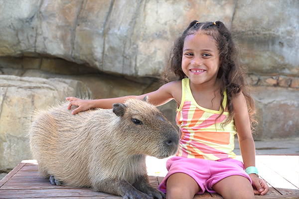 Capybara3