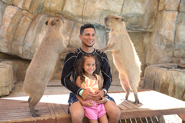 Capybara5