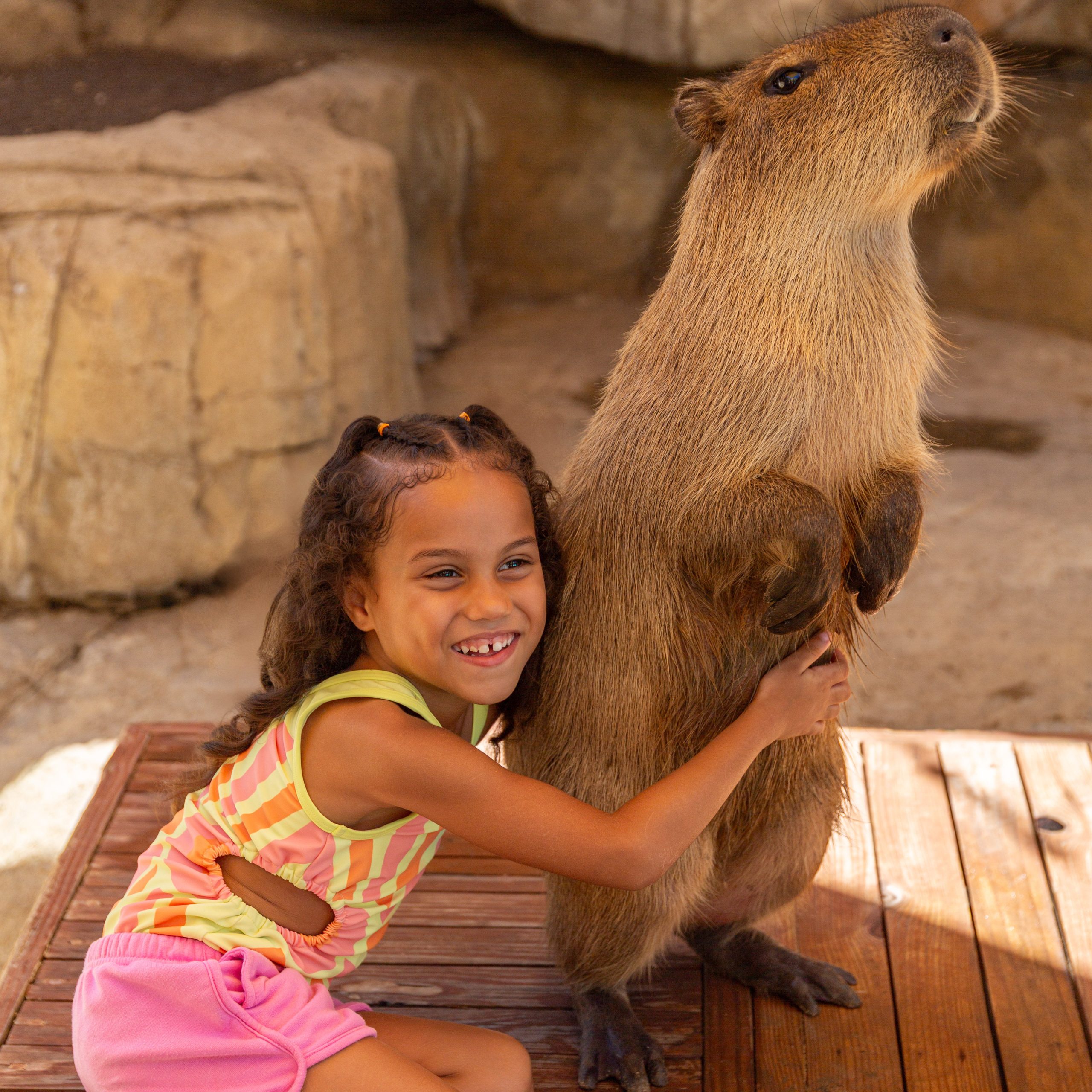 Capybara1