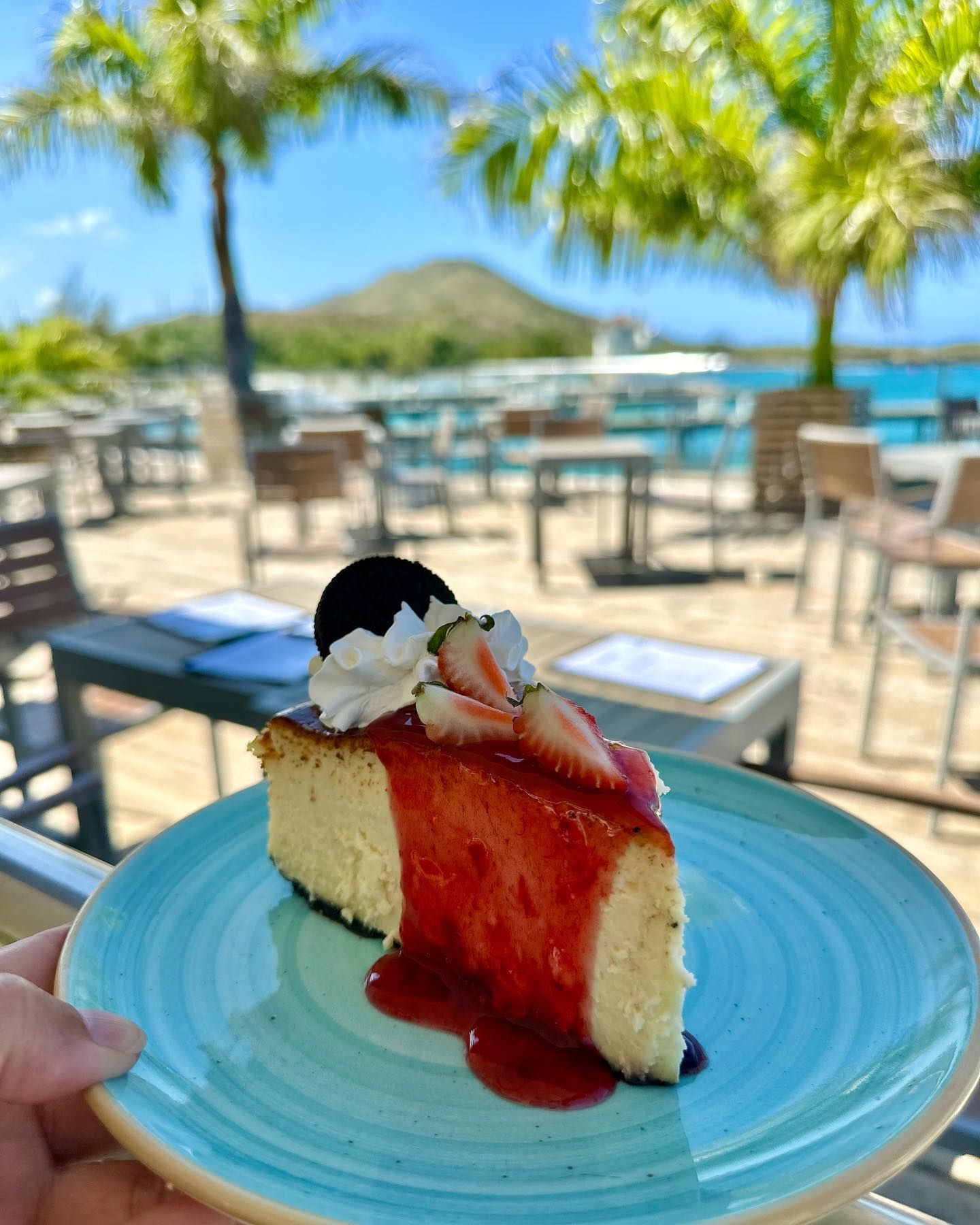 Cheesecake served on the terrace with the marina in the background